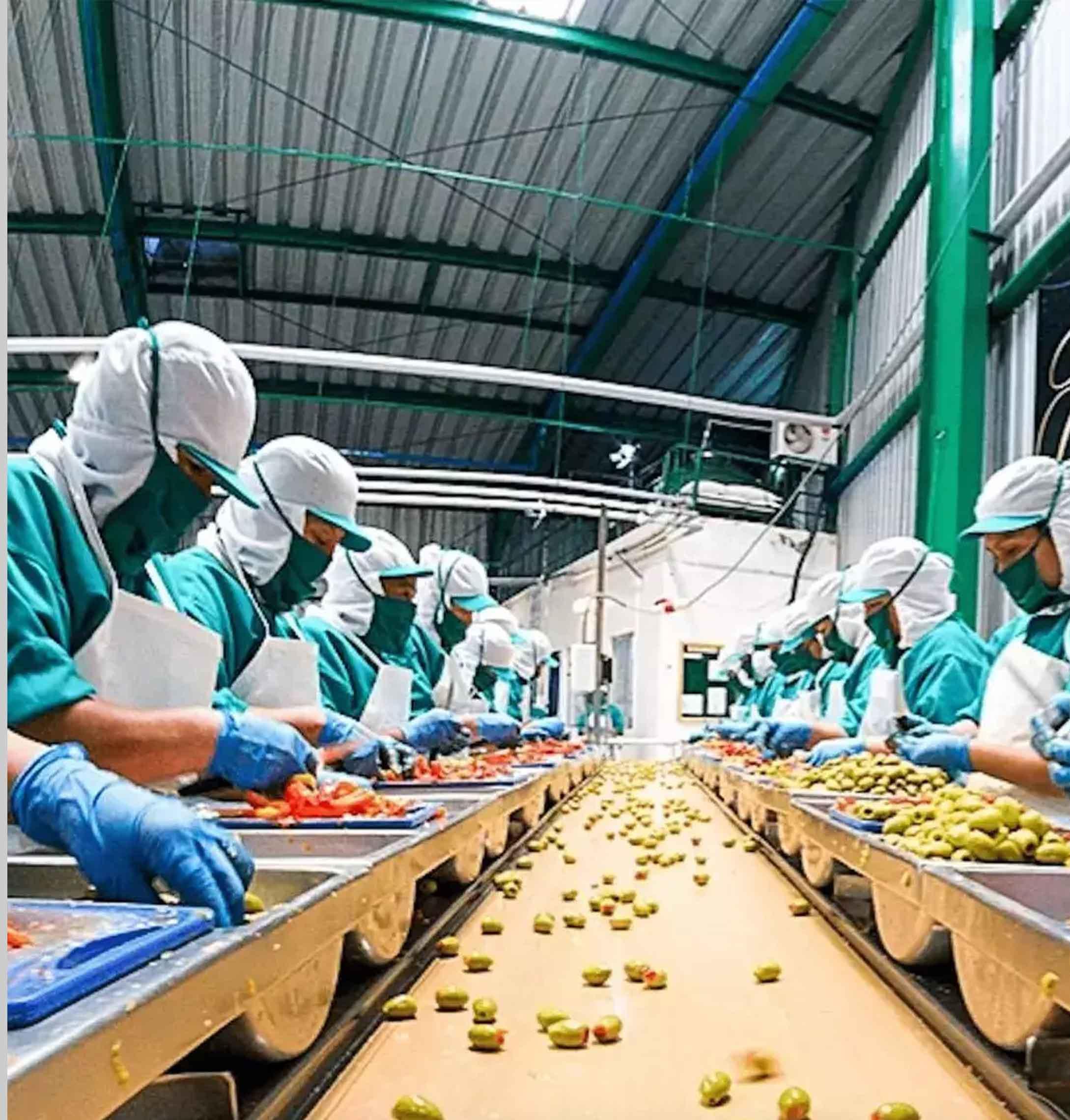 SESTAN KOHAN FOOD PRODUCTION follows stringent quality control measures at every stage of production. Our manufacturing processes comply with food safety regulations, ensuring that all our products meet international hygiene and quality standards.